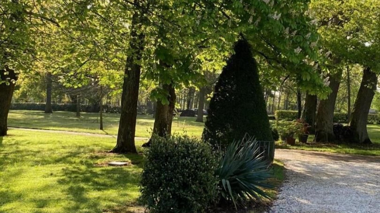 Photo of Outdoor in Sainte-Eulalie