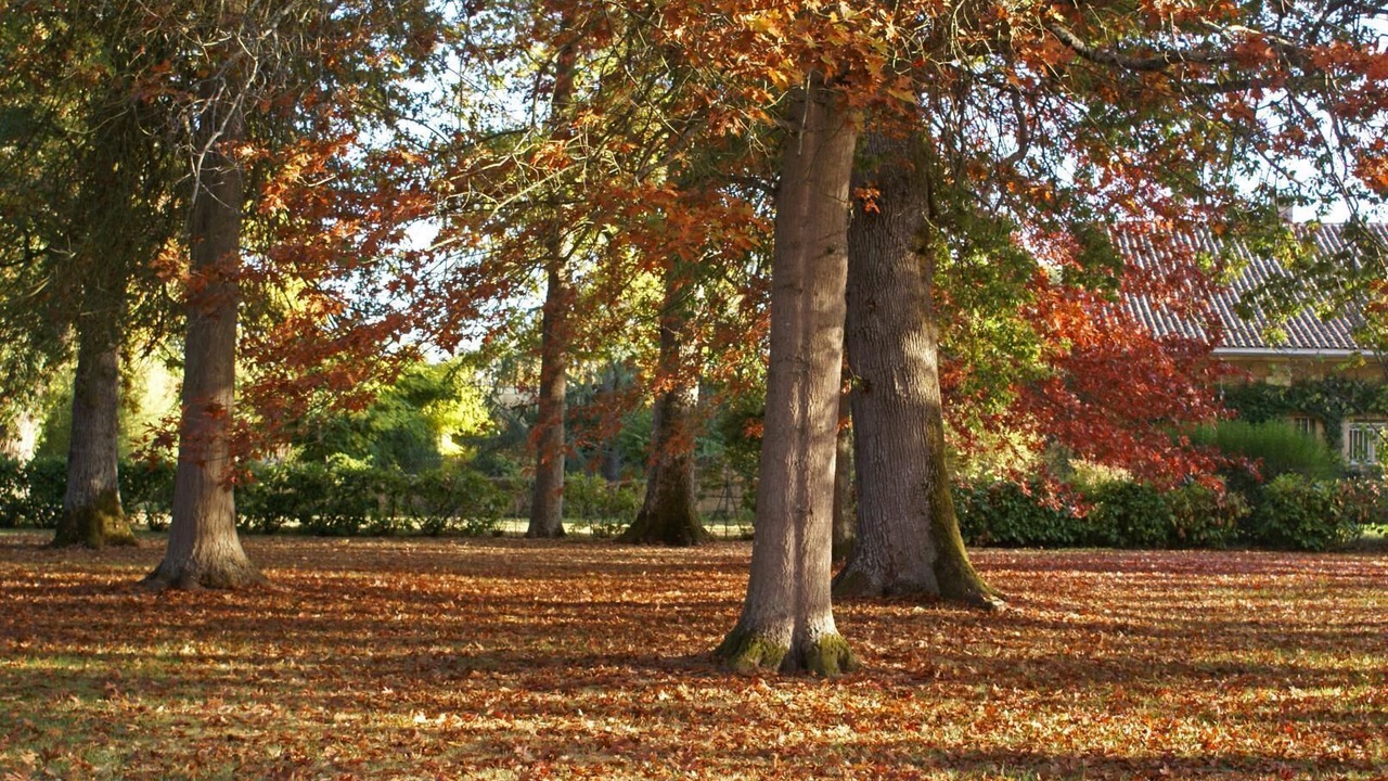 Photo of Outdoor in Sainte-Eulalie