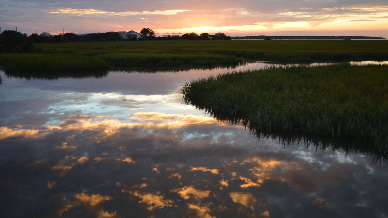 Photo of Others in Saint Helena Island