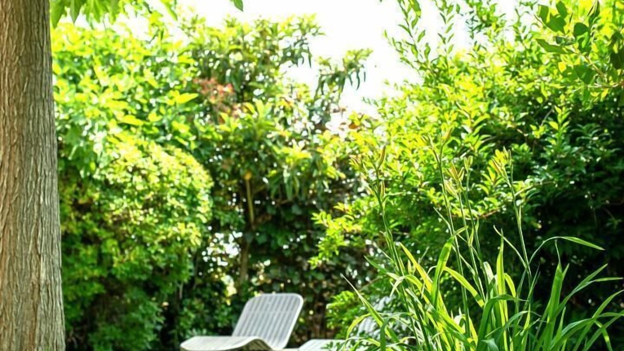 Photo of Outdoor in Aussonne
