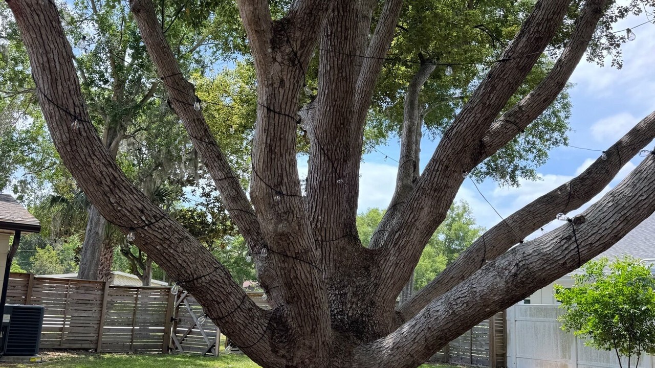 Photo of Outdoor in Clermont