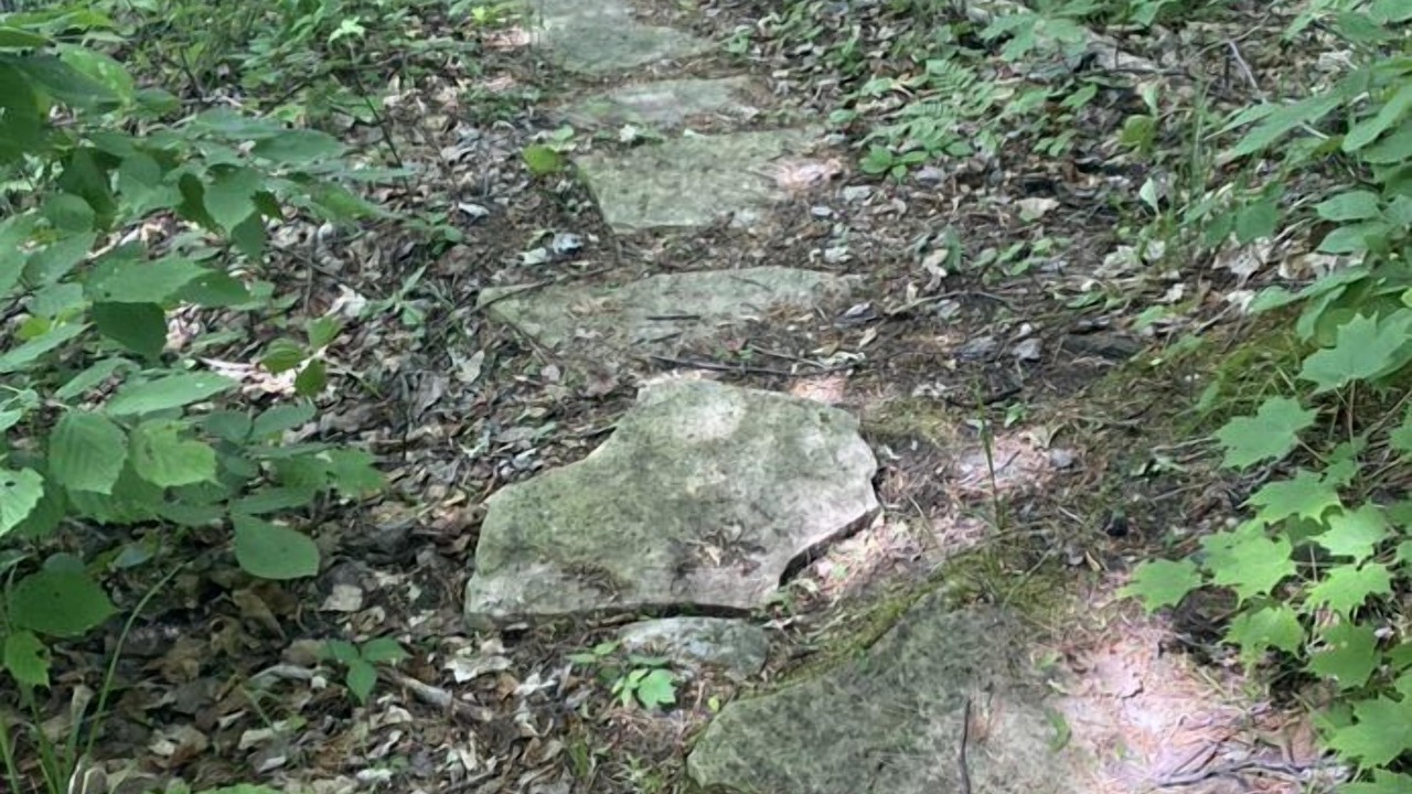 Photo of Outdoor in Trent Hills
