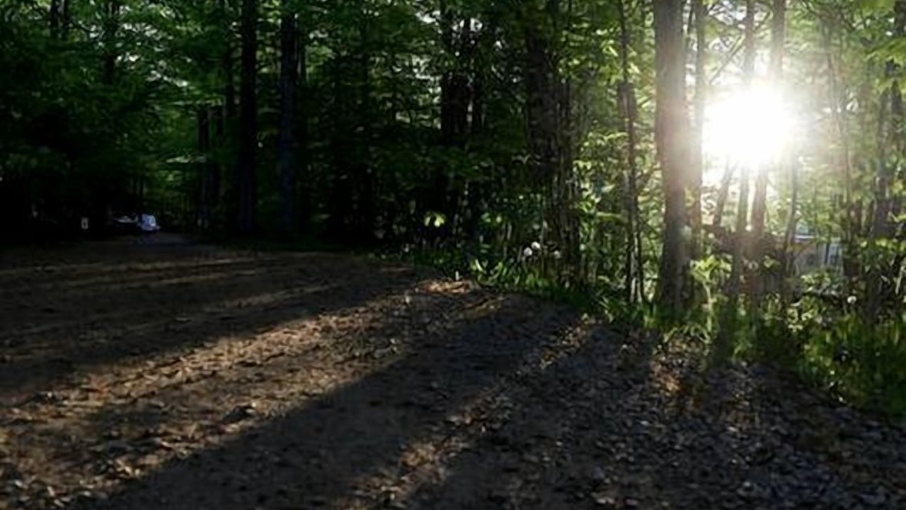 Photo of Others in Miller Lake