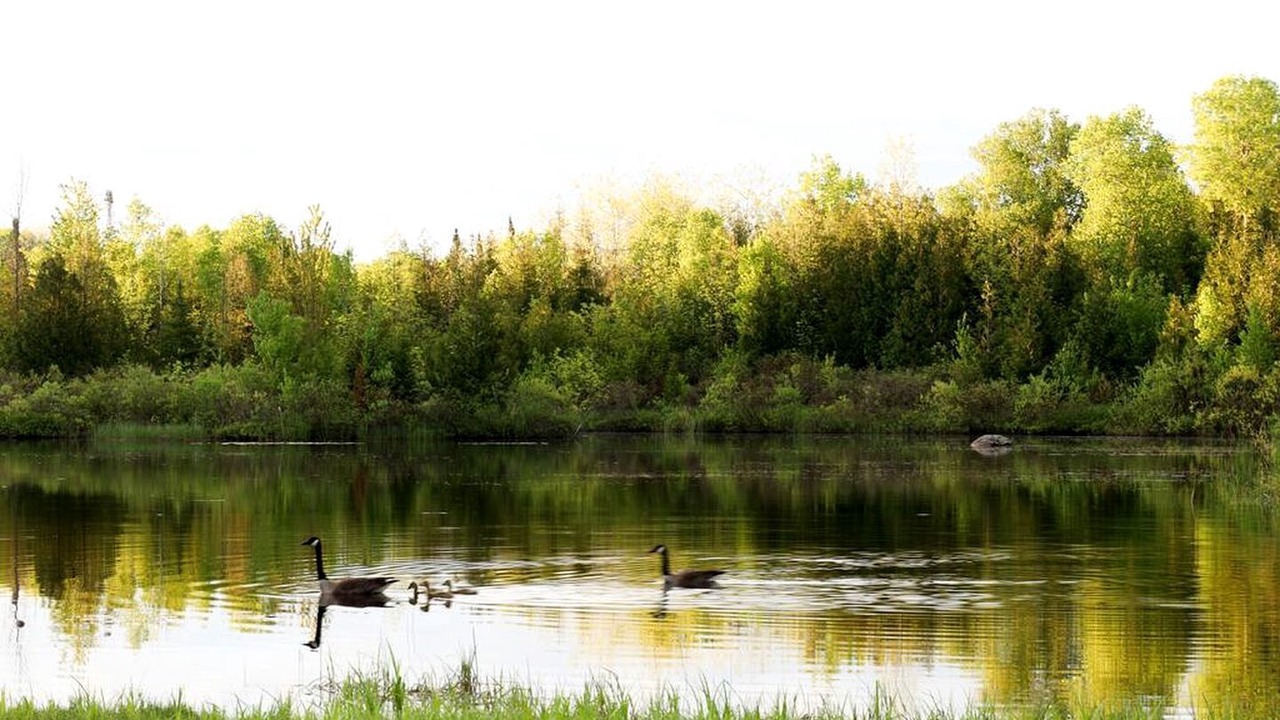 Photo of Others in Miller Lake