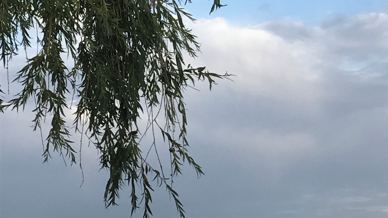 Photo of Outdoor in Villeneuve-de-la-Raho