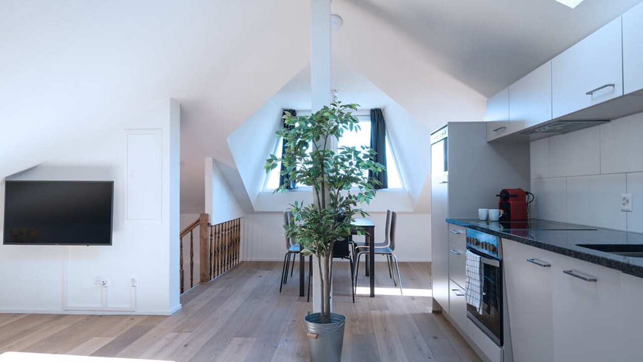 Photo of Kitchen in Albisrieden