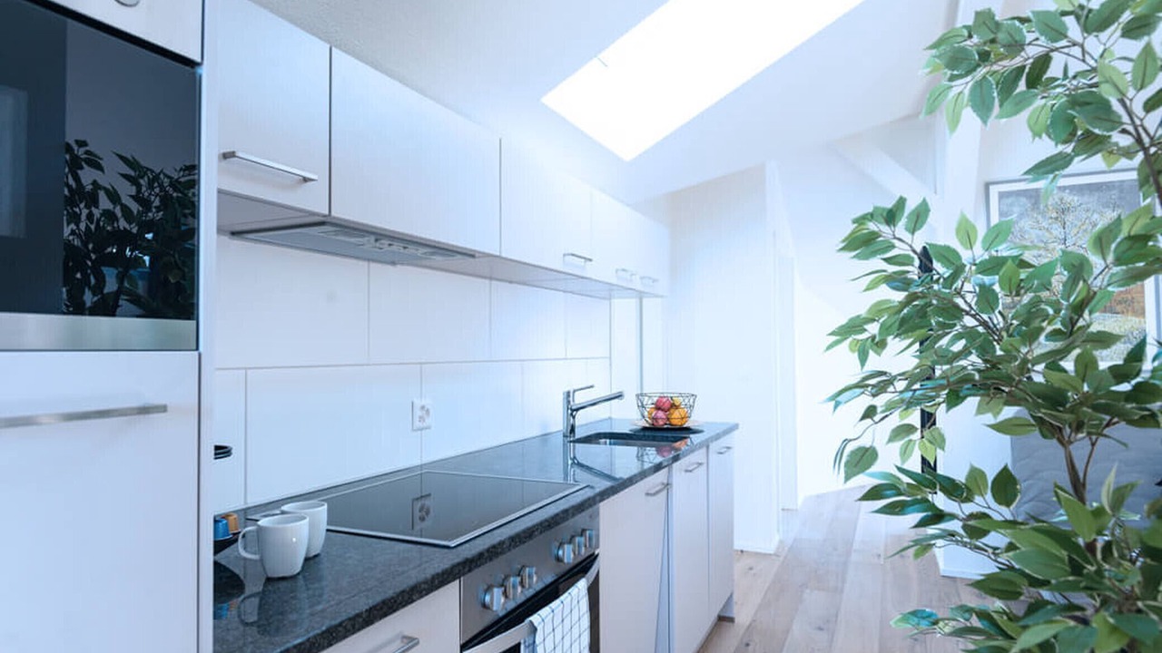 Photo of Kitchen in Albisrieden