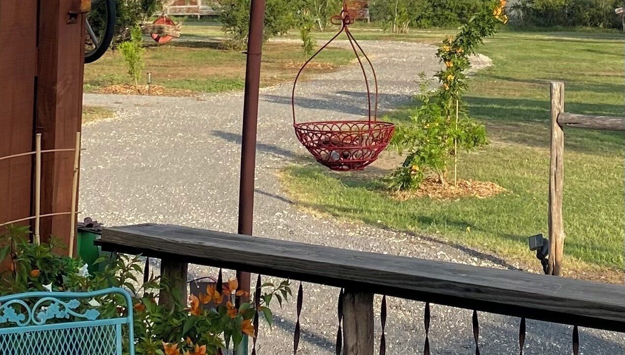 Photo of Outdoor in Seguin