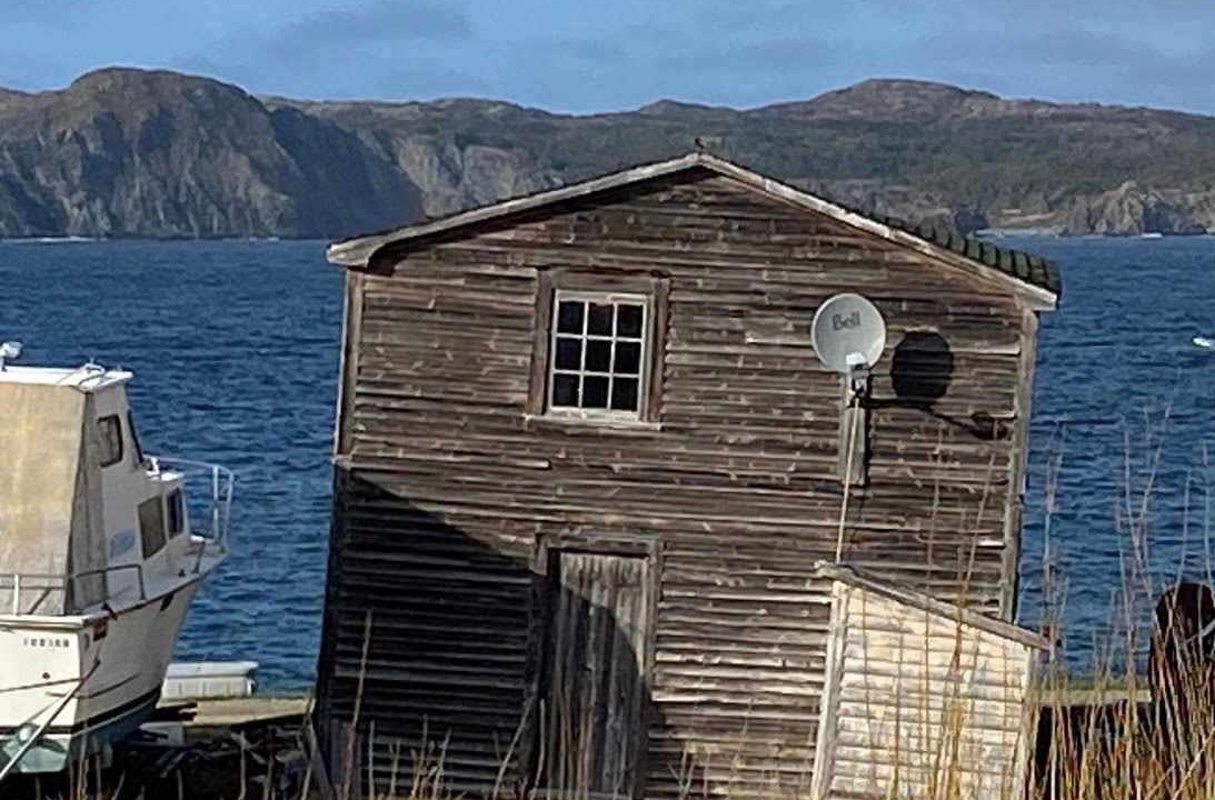 Photo of Others in Twillingate