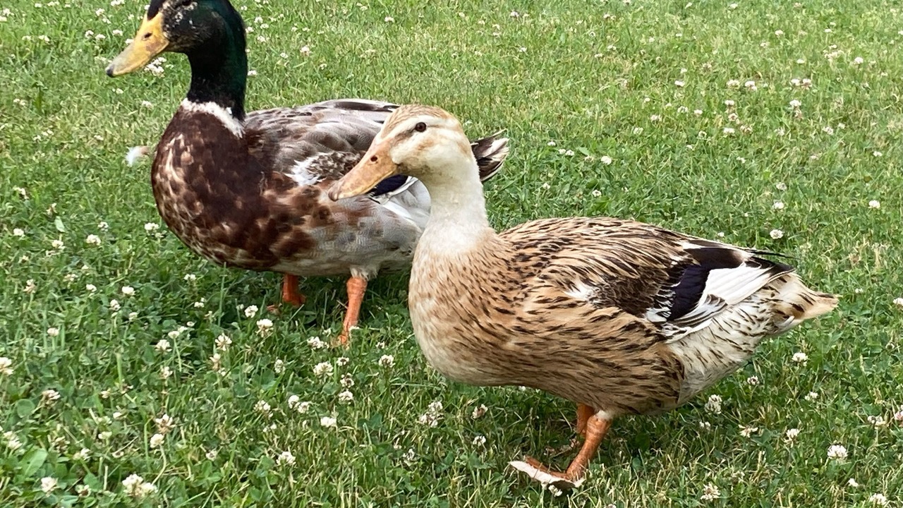 Photo of Others in Greenville