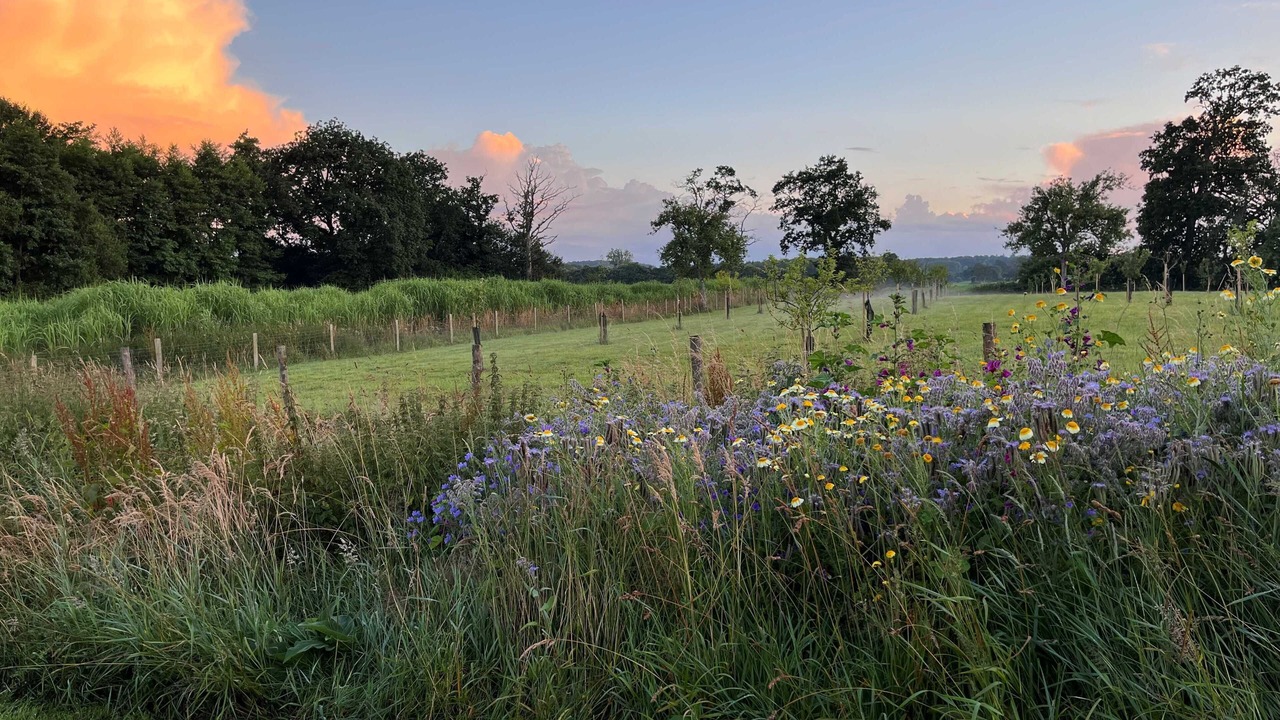 Photo of Outdoor in Athis-Val de Rouvre