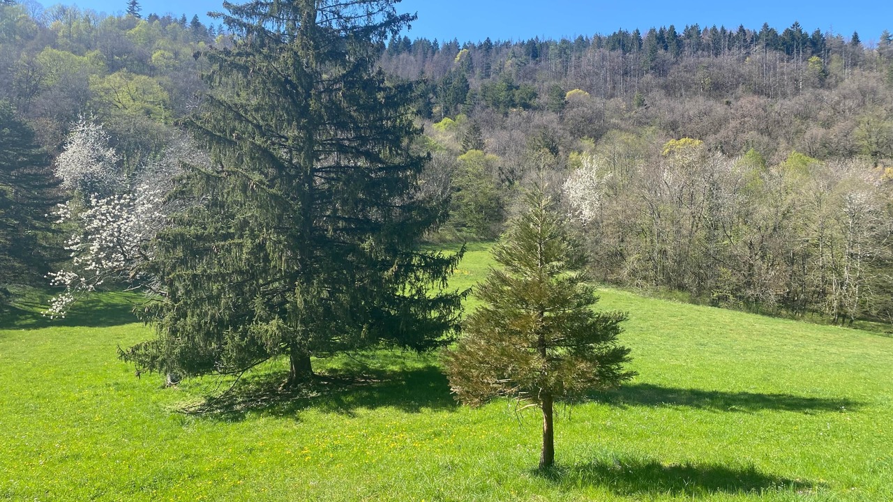 Photo of Others in Montanges
