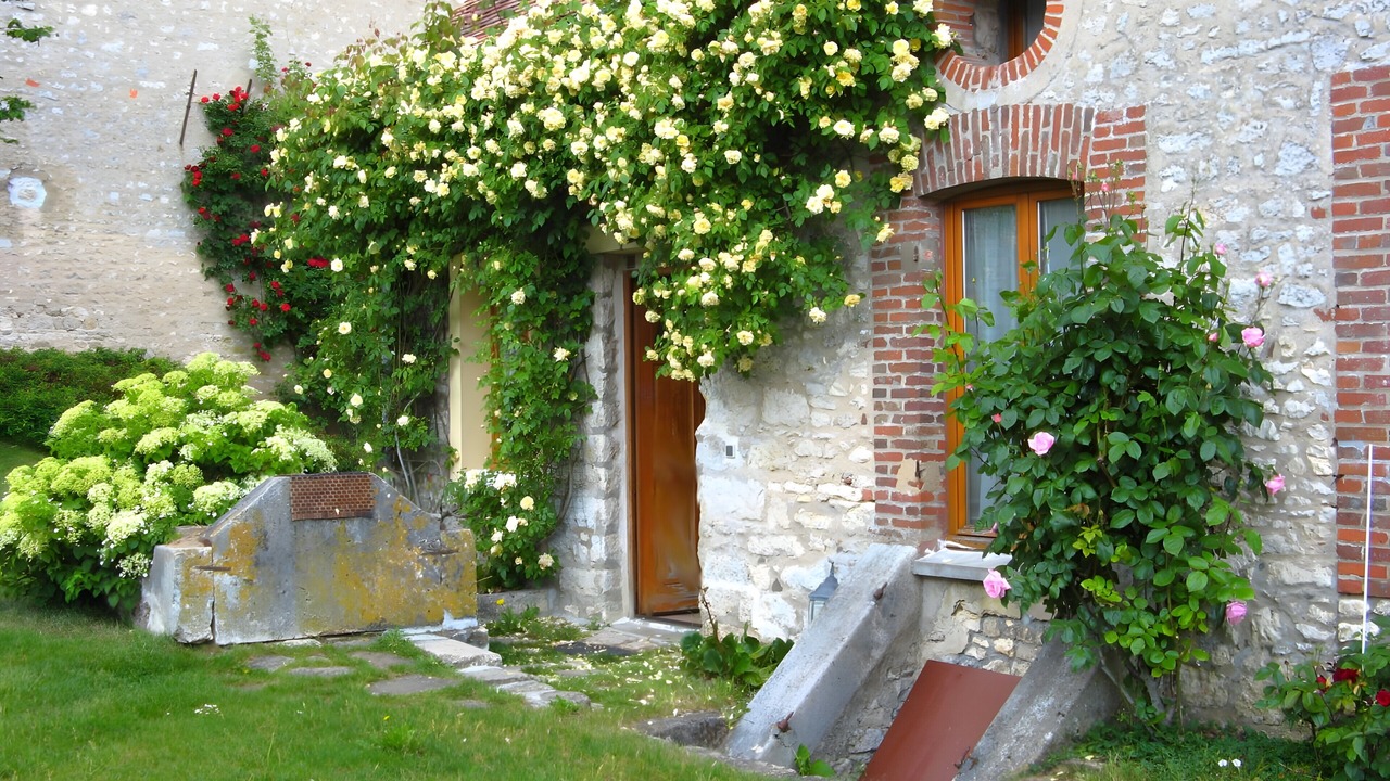 Photo of Outdoor in Poligny