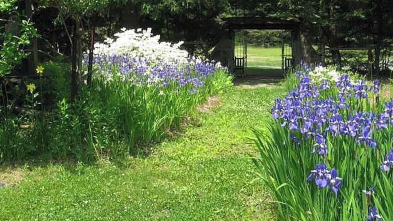 Photo of Outdoor in Sparrow Bush