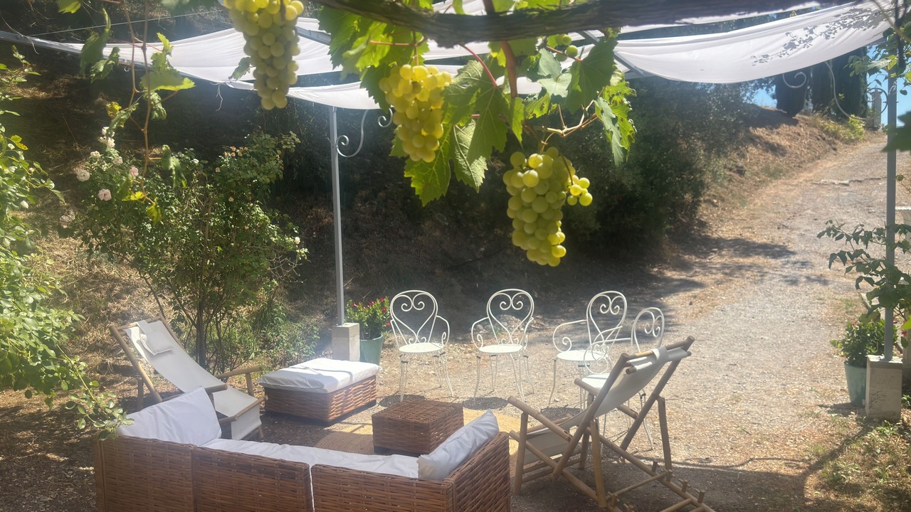 Photo of Patio Balcony in Manosque