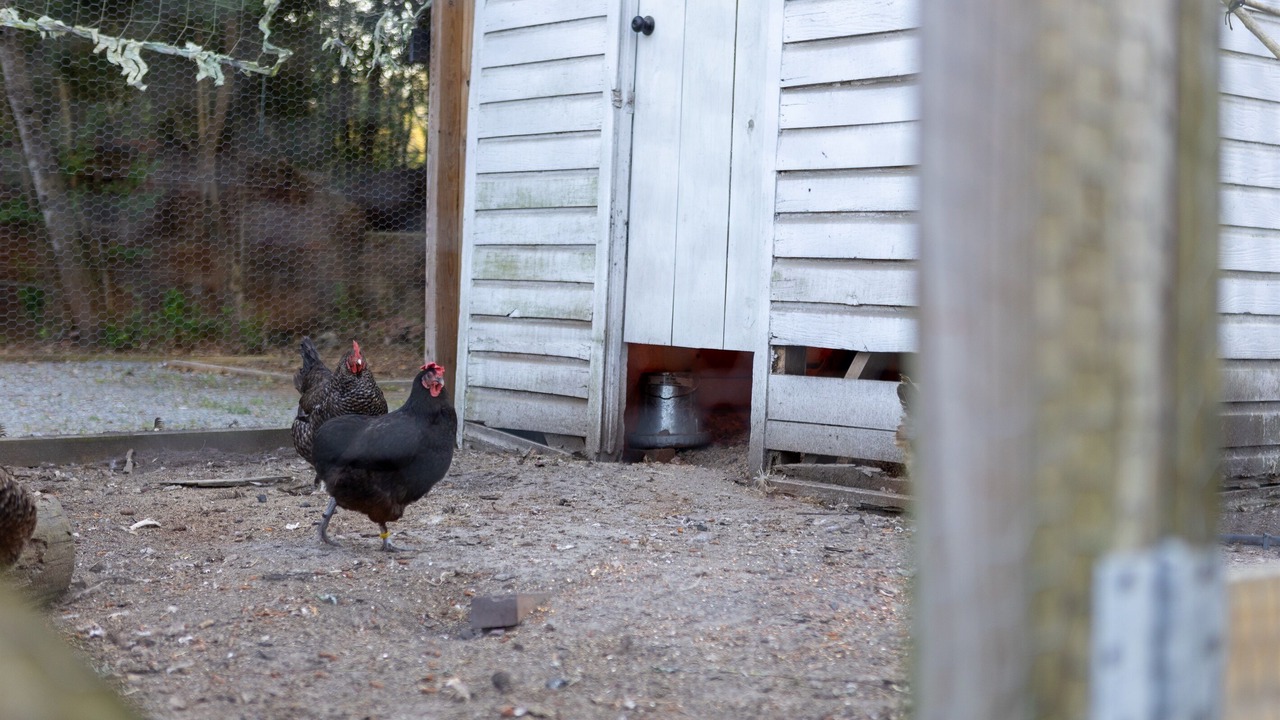 Photo of Others in Wrightsboro