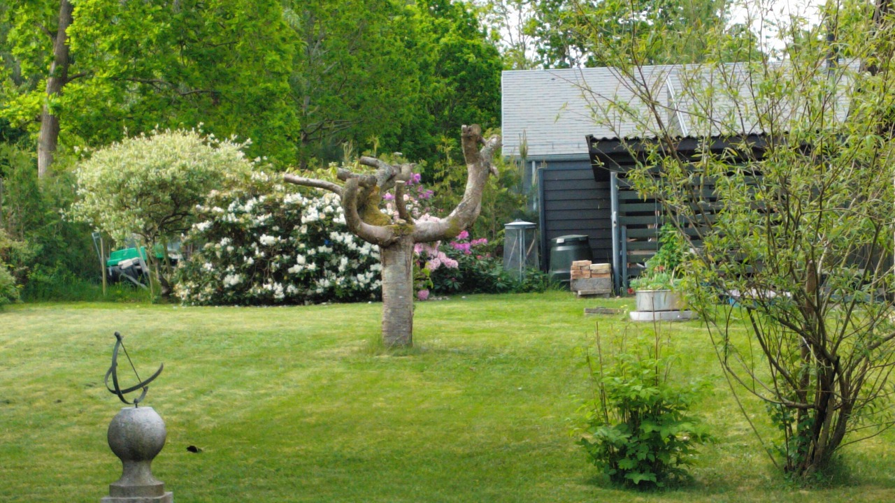Photo of Others in Hoeve Strand