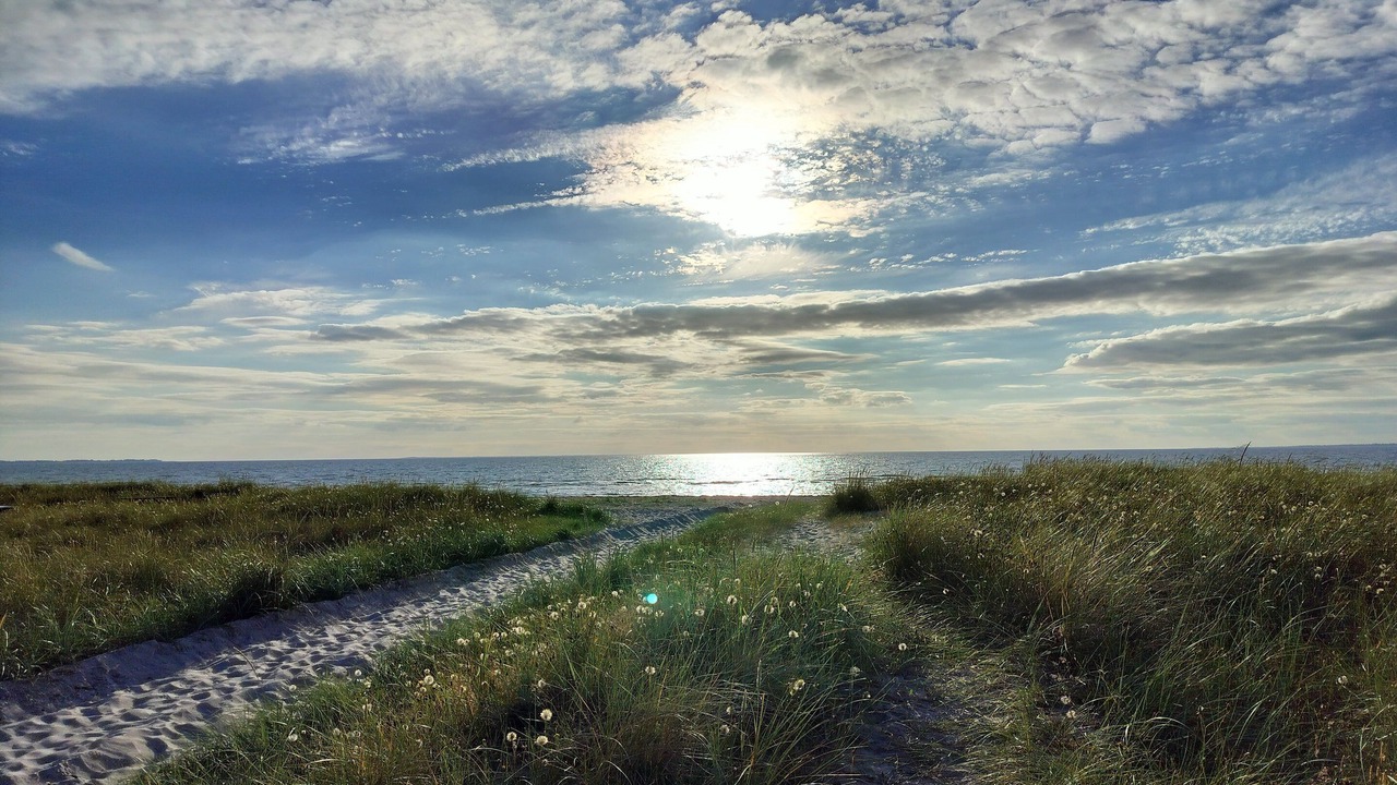 Photo of Others in Hoeve Strand
