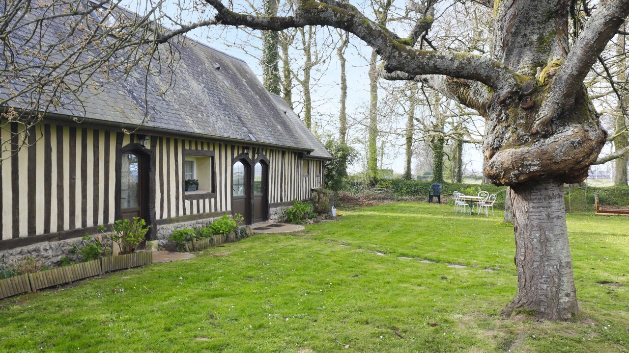 Photo of Outdoor in Sausseuzemare-en-Caux