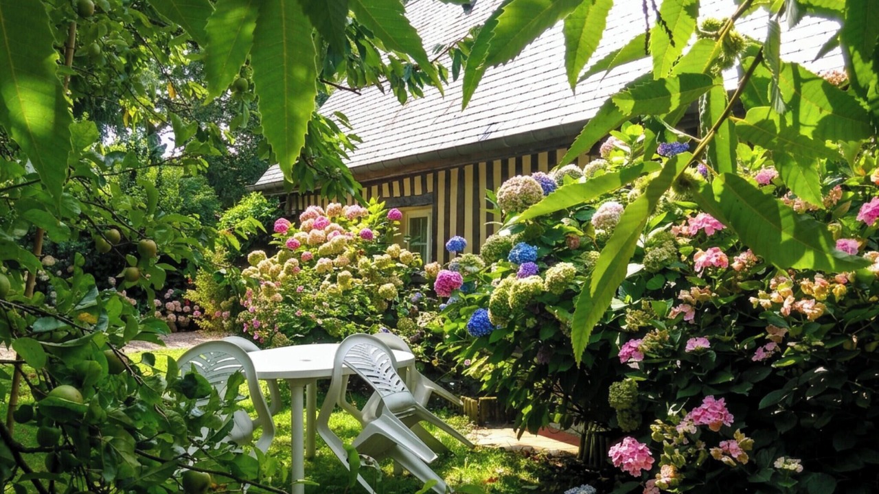 Photo of Outdoor in Sausseuzemare-en-Caux