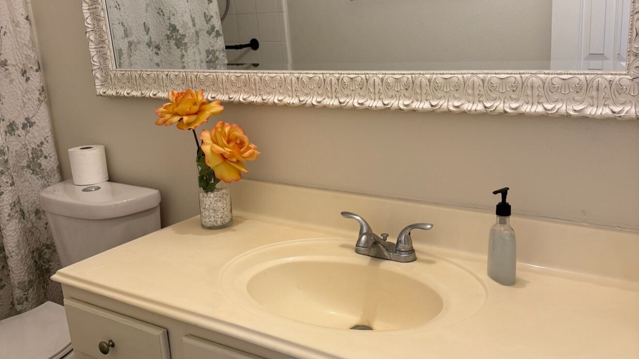 Photo of Bathroom in Manvel