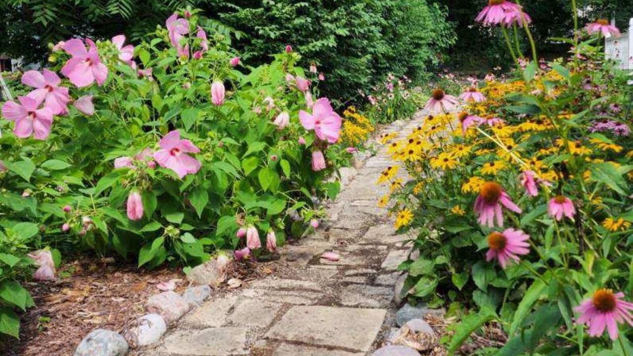 Photo of Outdoor in Milford