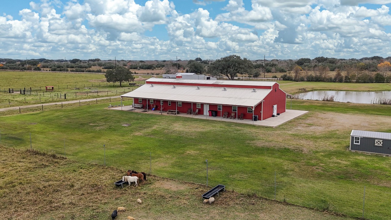 Photo of Outdoor in Damon