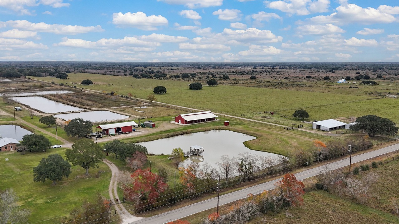 Photo of Outdoor in Damon