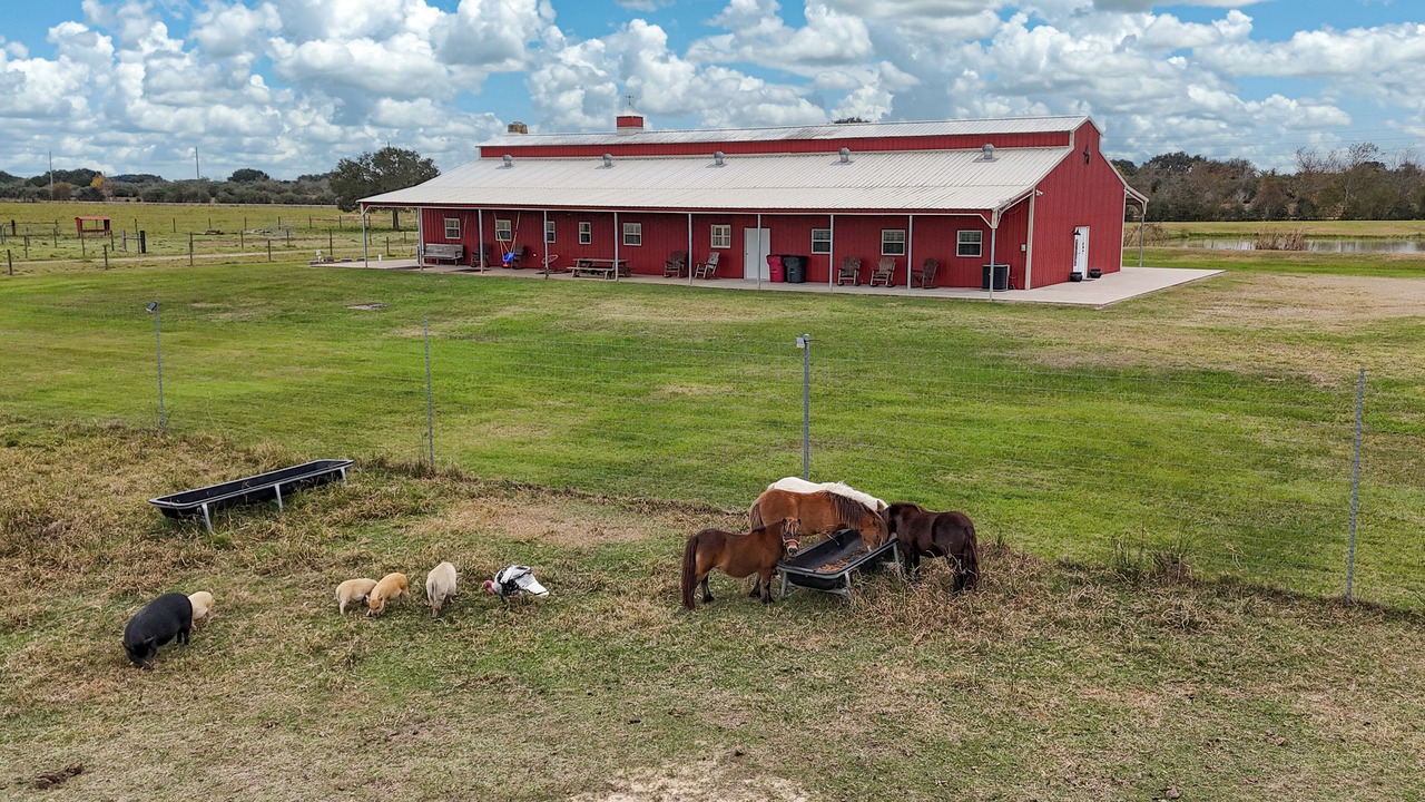 Photo of Outdoor in Damon