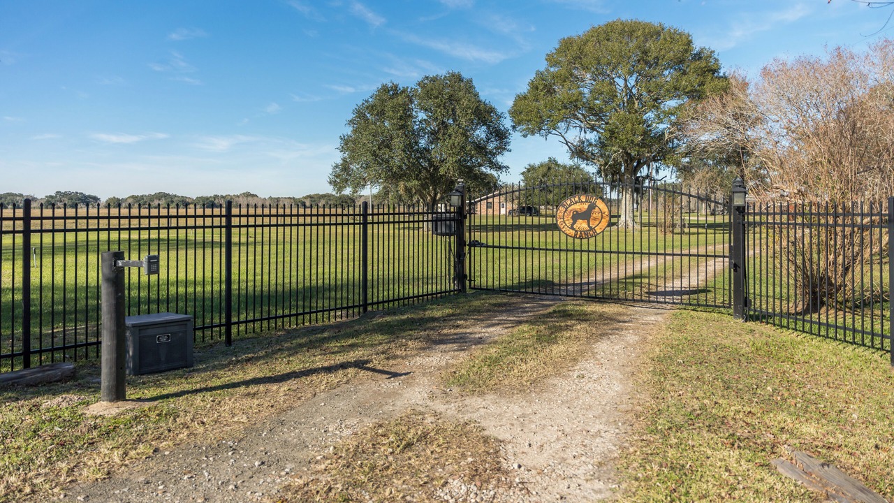Photo of Outdoor in Damon