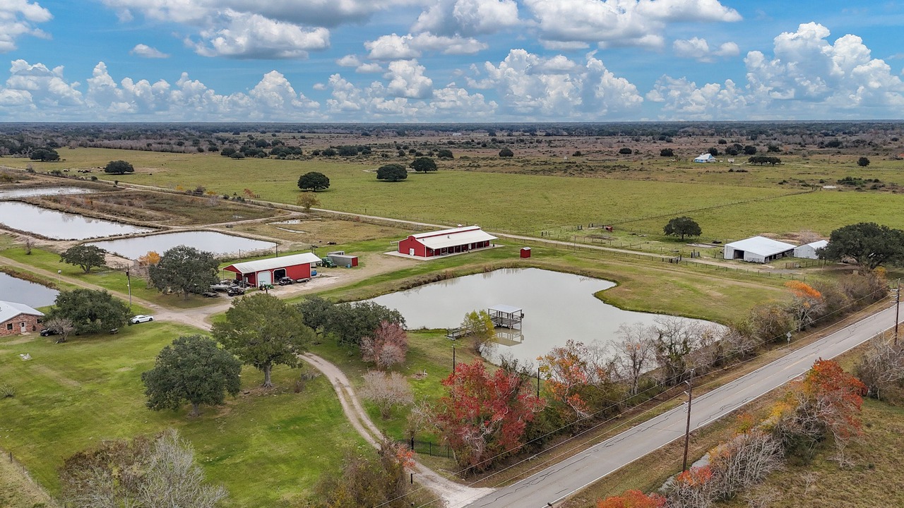 Photo of Outdoor in Damon