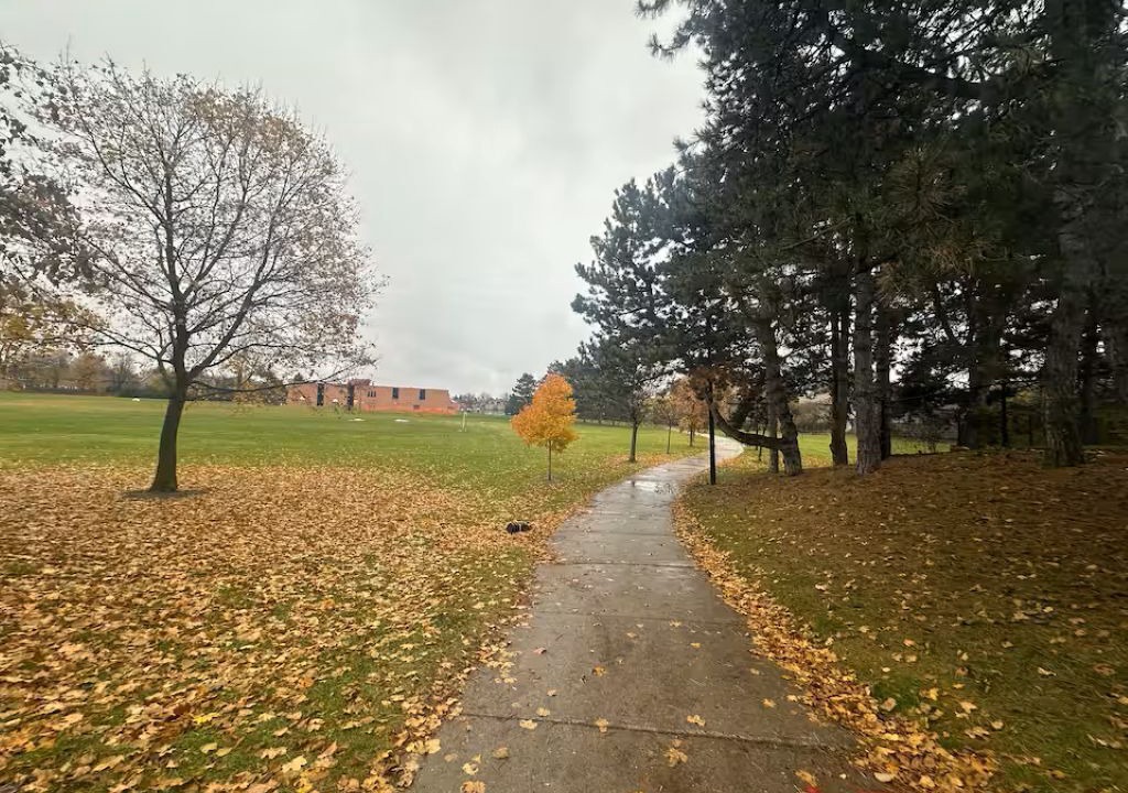 Photo of Outdoor in Thornhill
