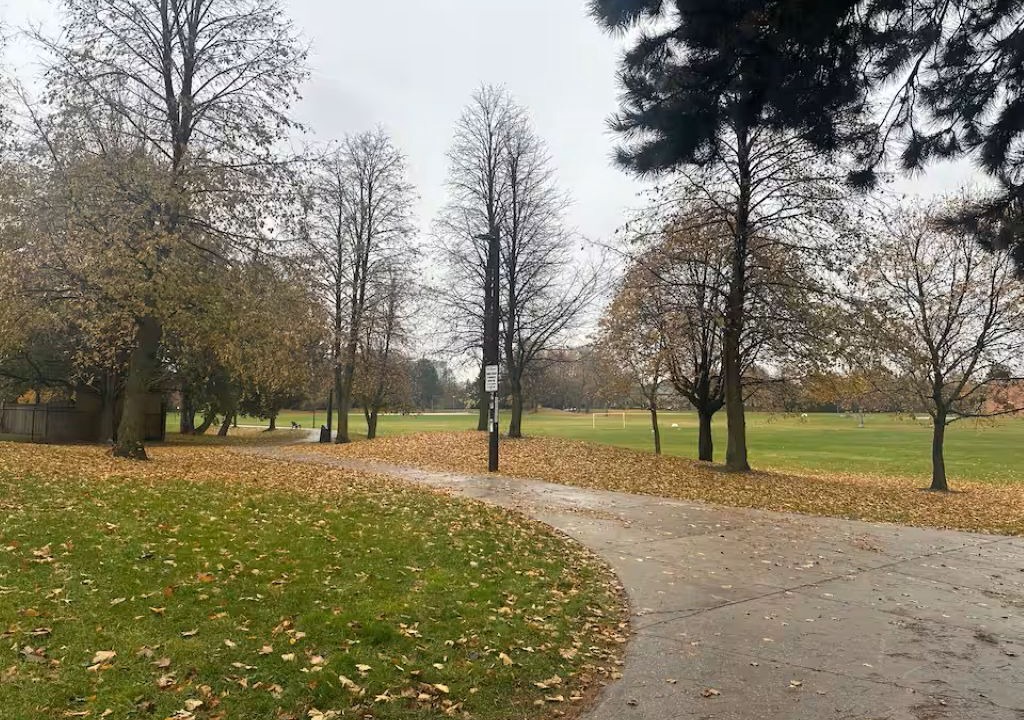 Photo of Others in Thornhill