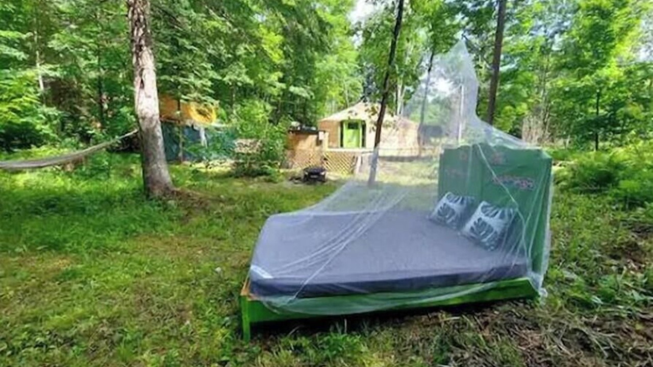 Photo of Outdoor in Mandeville