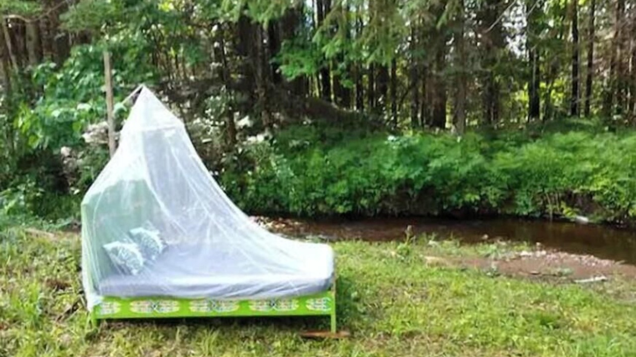 Photo of Outdoor in Mandeville