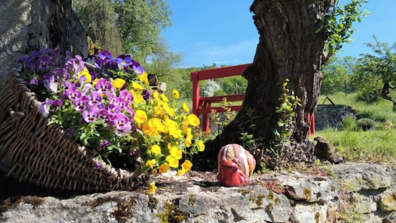 Photo of Outdoor in Avot
