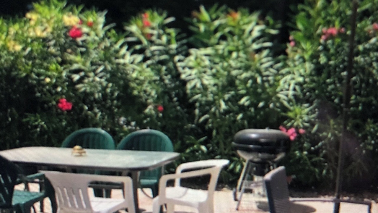 Photo of Outdoor in Sainte-Marie-la-Mer