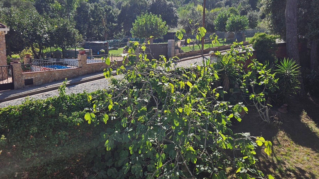 Photo of Outdoor in Llagostera