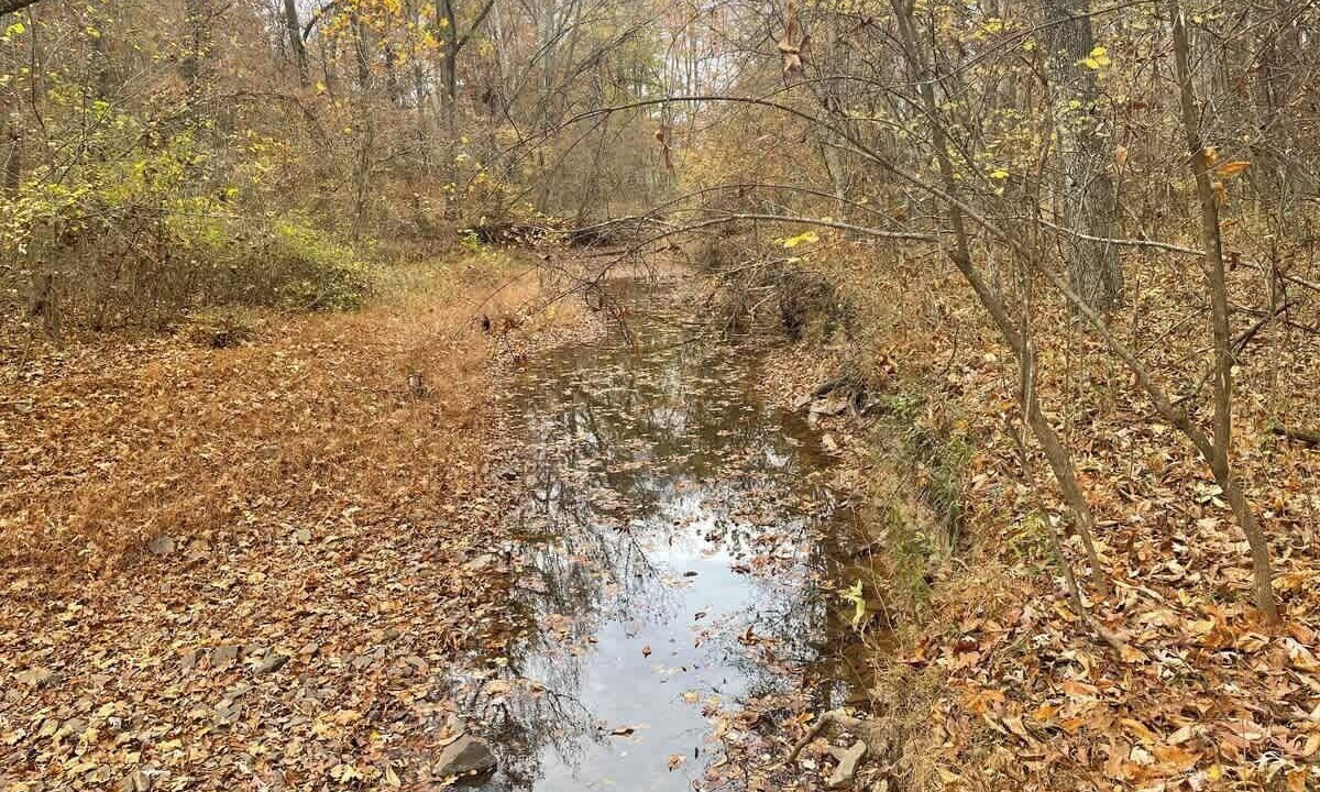 Photo of Others in Berkeley Springs