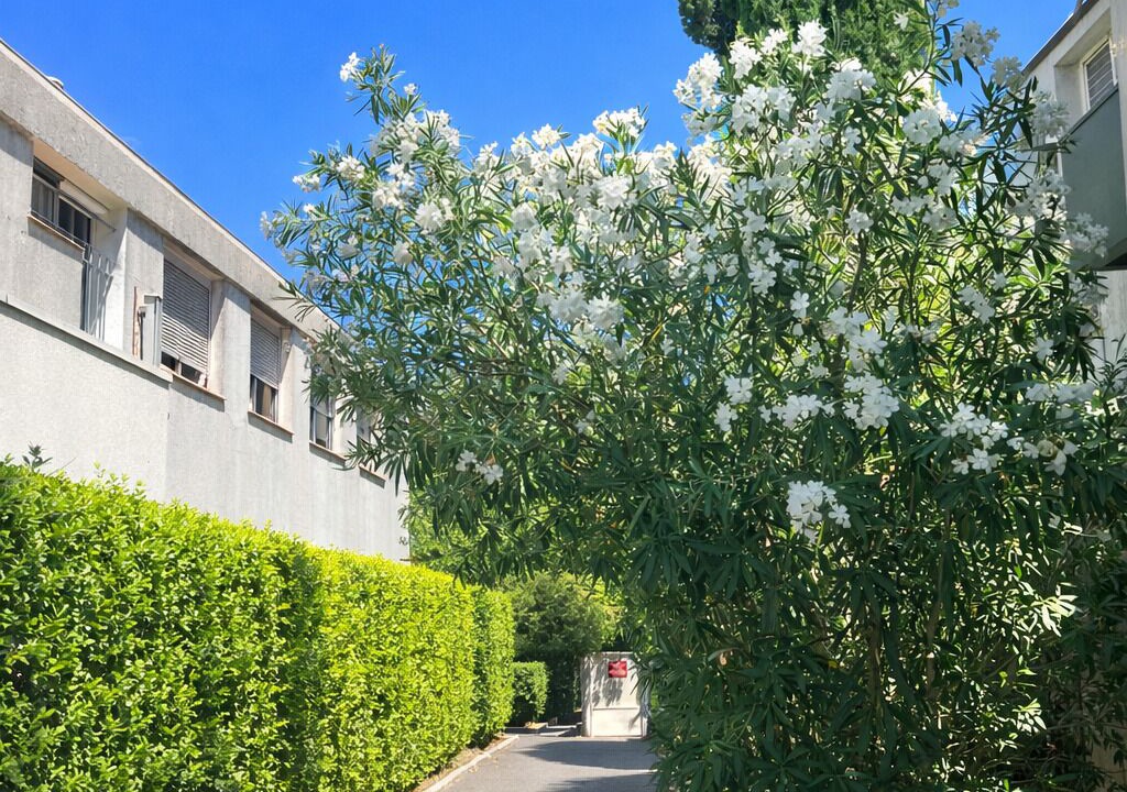 Photo of Outdoor in Alco
