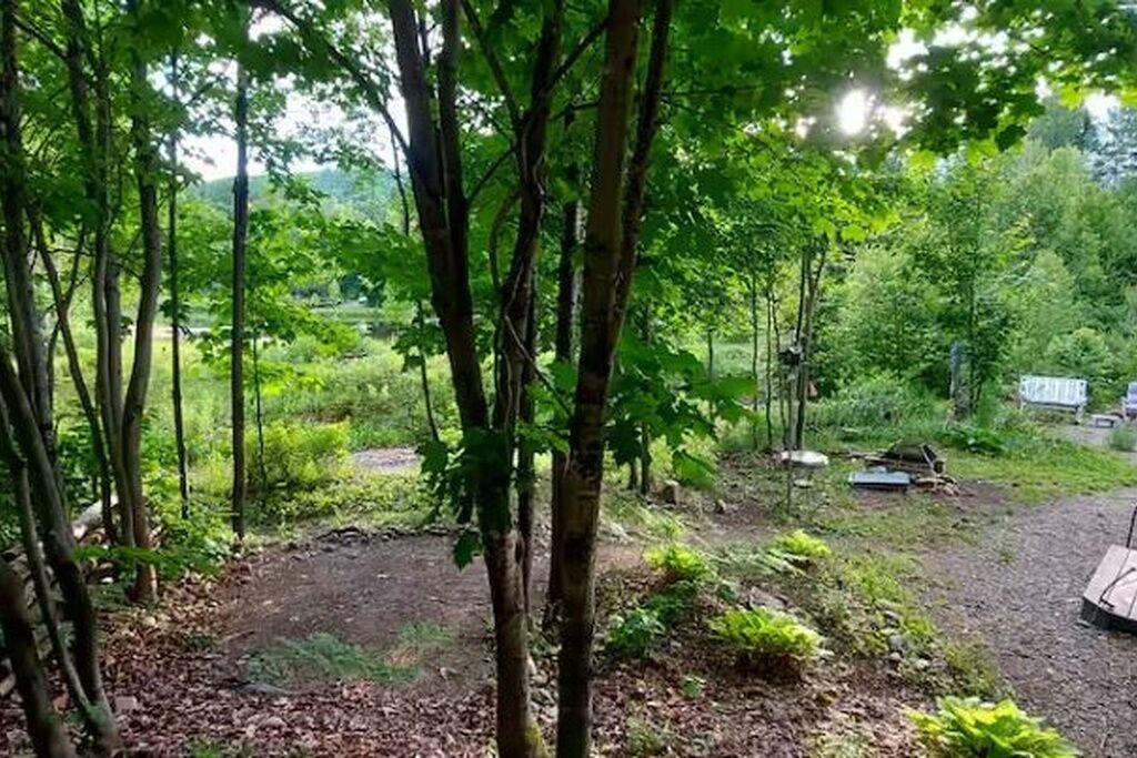 Photo of Outdoor in Mandeville