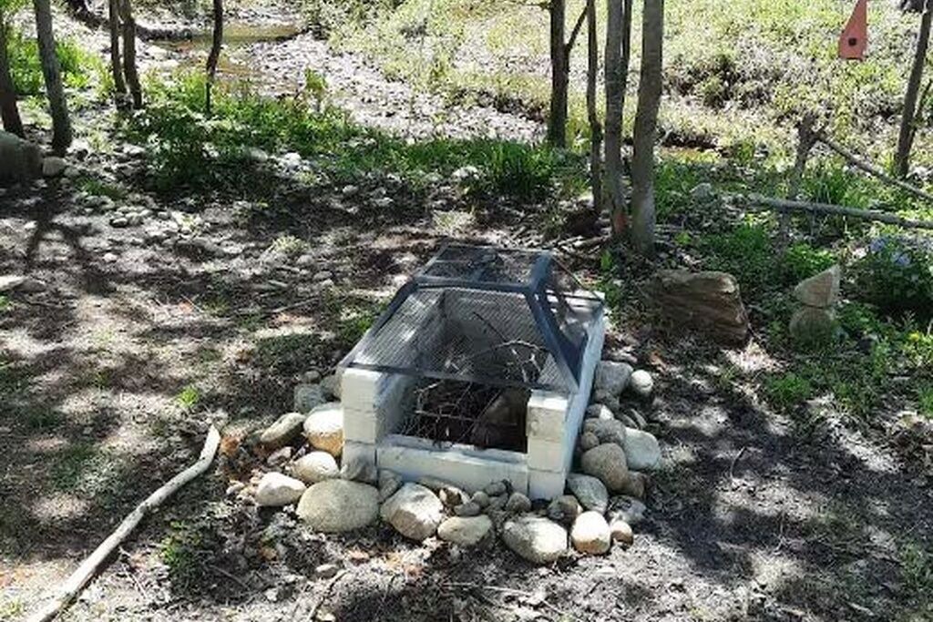 Photo of Outdoor in Mandeville
