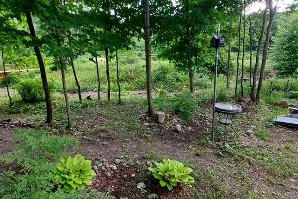 Photo of Outdoor in Mandeville