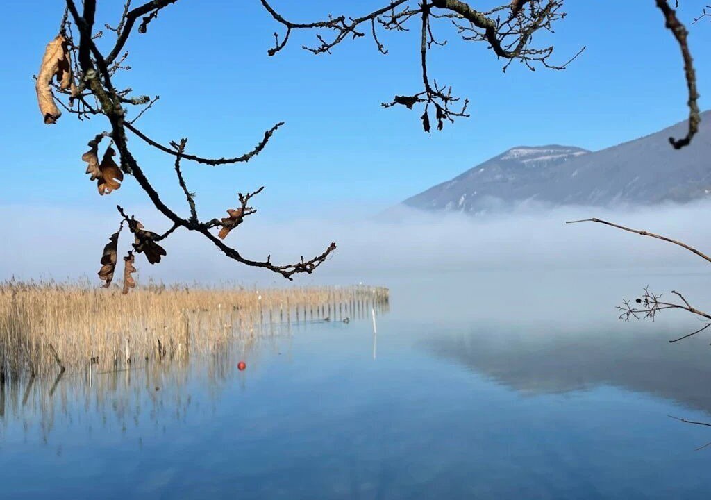 Photo of Others in Lepin-le-Lac