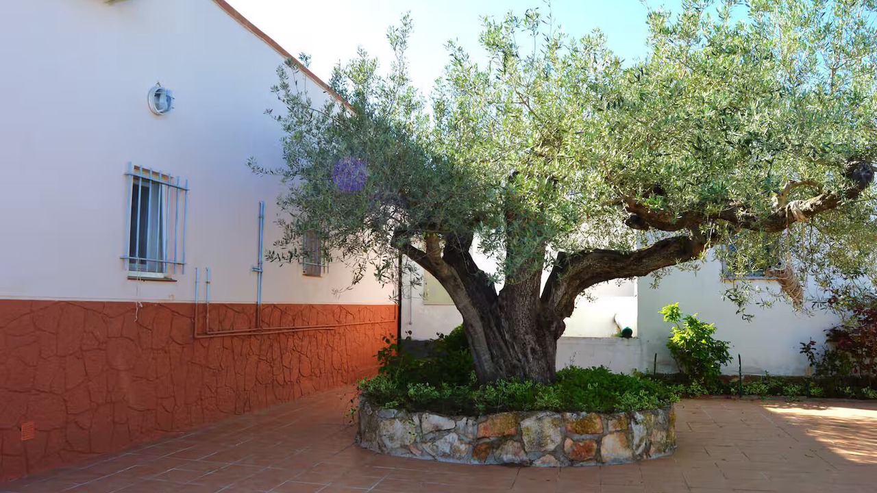 Photo of Outdoor in Costa Dorada