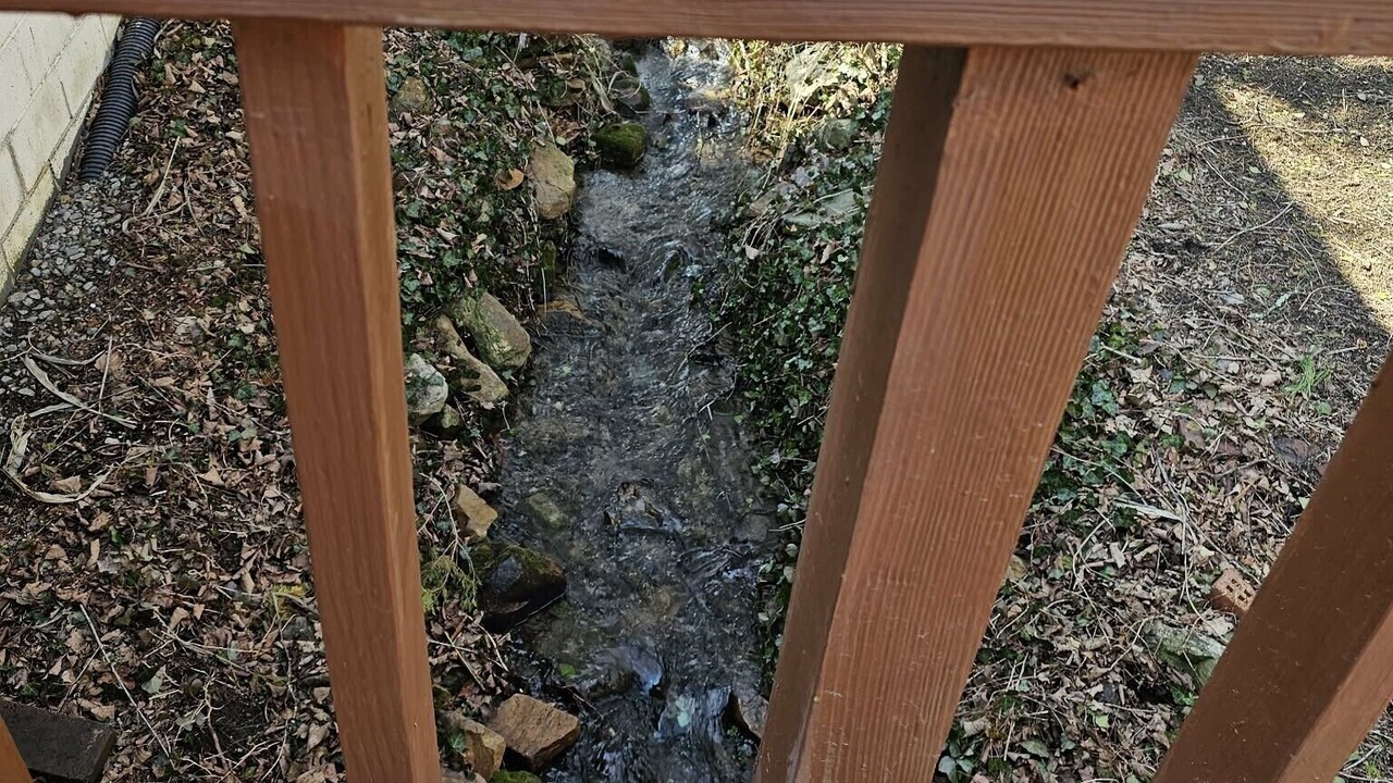 Photo of Outdoor in James Creek