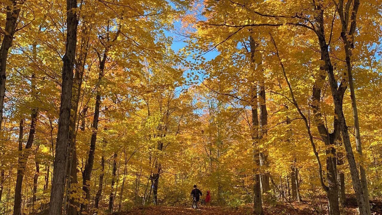 Photo of Others in Muskoka Lakes