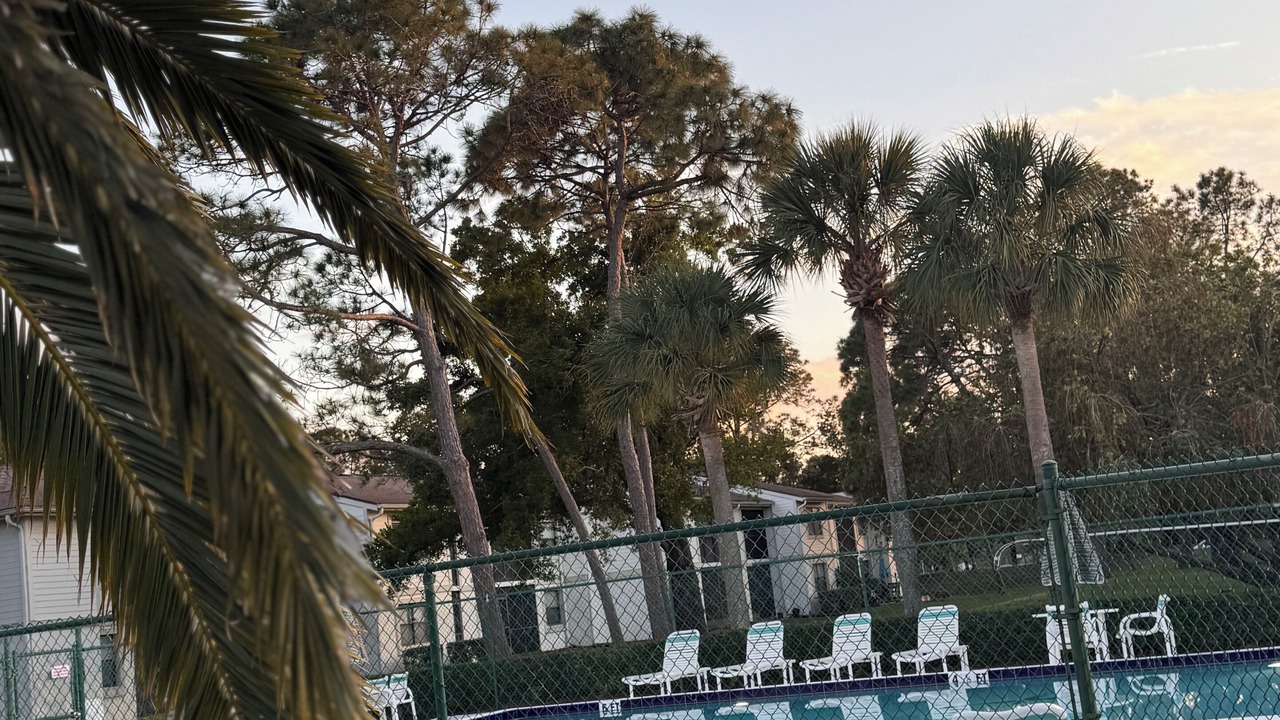 Photo of Others in East Lake Woodlands