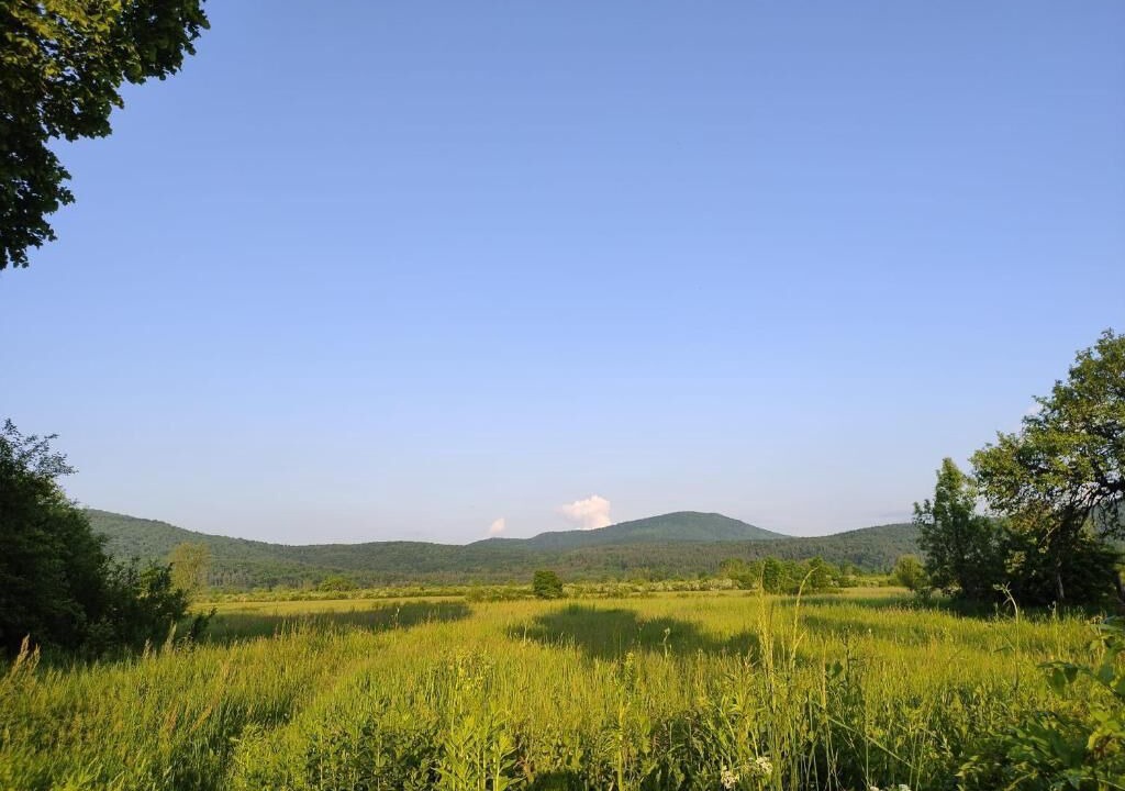 Photo of Others in Plaski
