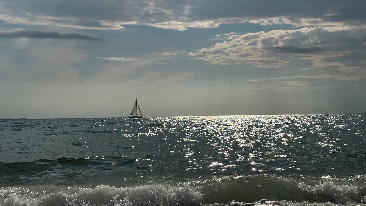 Photo of Others in West Falmouth